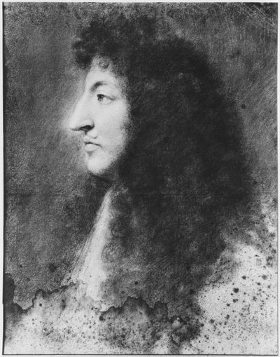 Portrait of Louis XIV, young, in profile to the left by Charles Le Brun